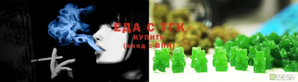 дживик Сясьстрой