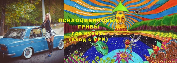 тгк Михайловск
