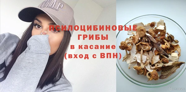 тгк Михайловск