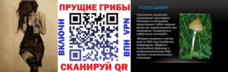 Псилоцибиновые грибы мухоморы  дарнет шоп  Сусуман 