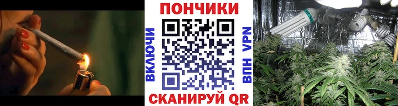 Бошки марихуана план  купить наркотик  Сусуман 